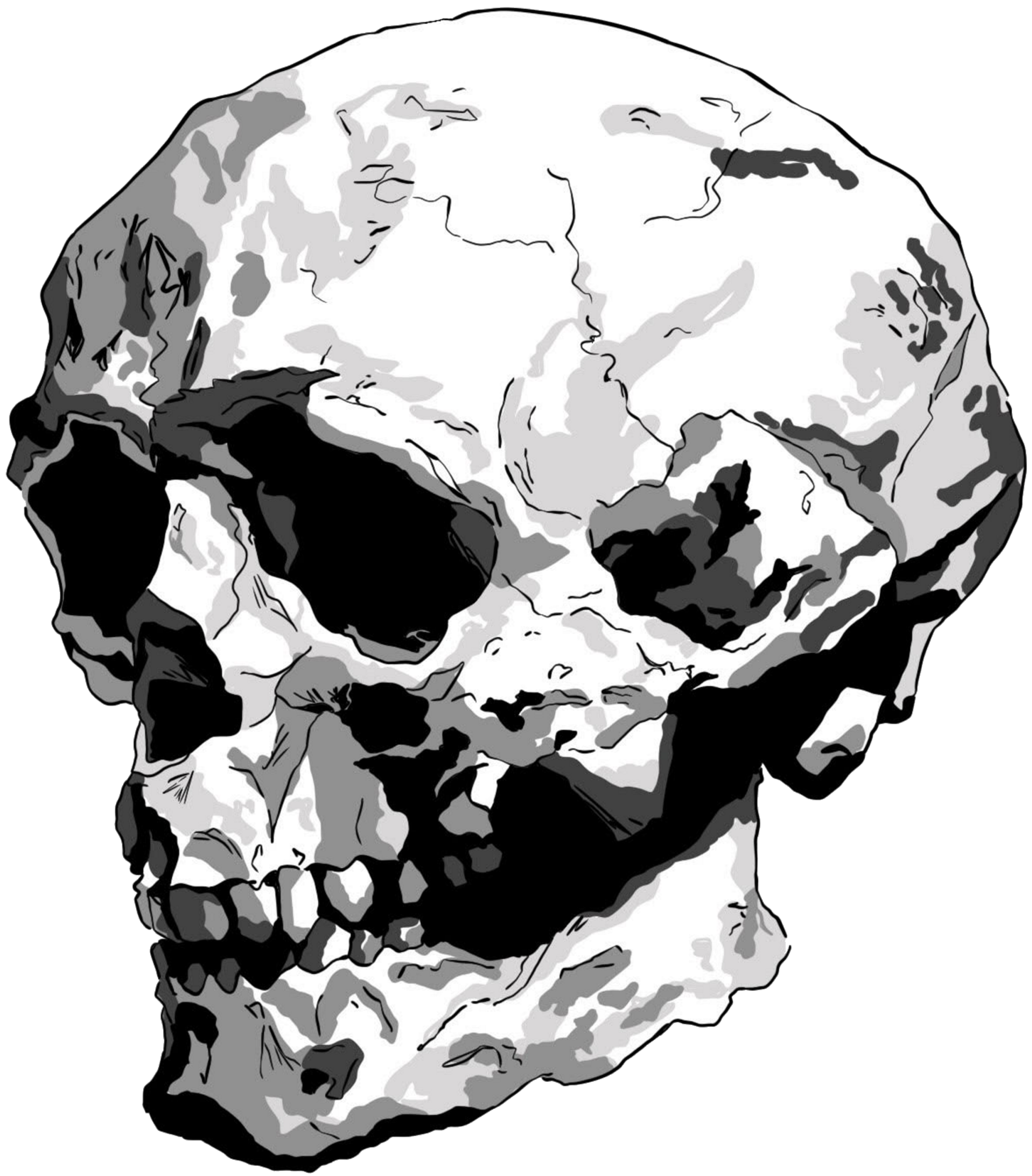 Spooki Kooki