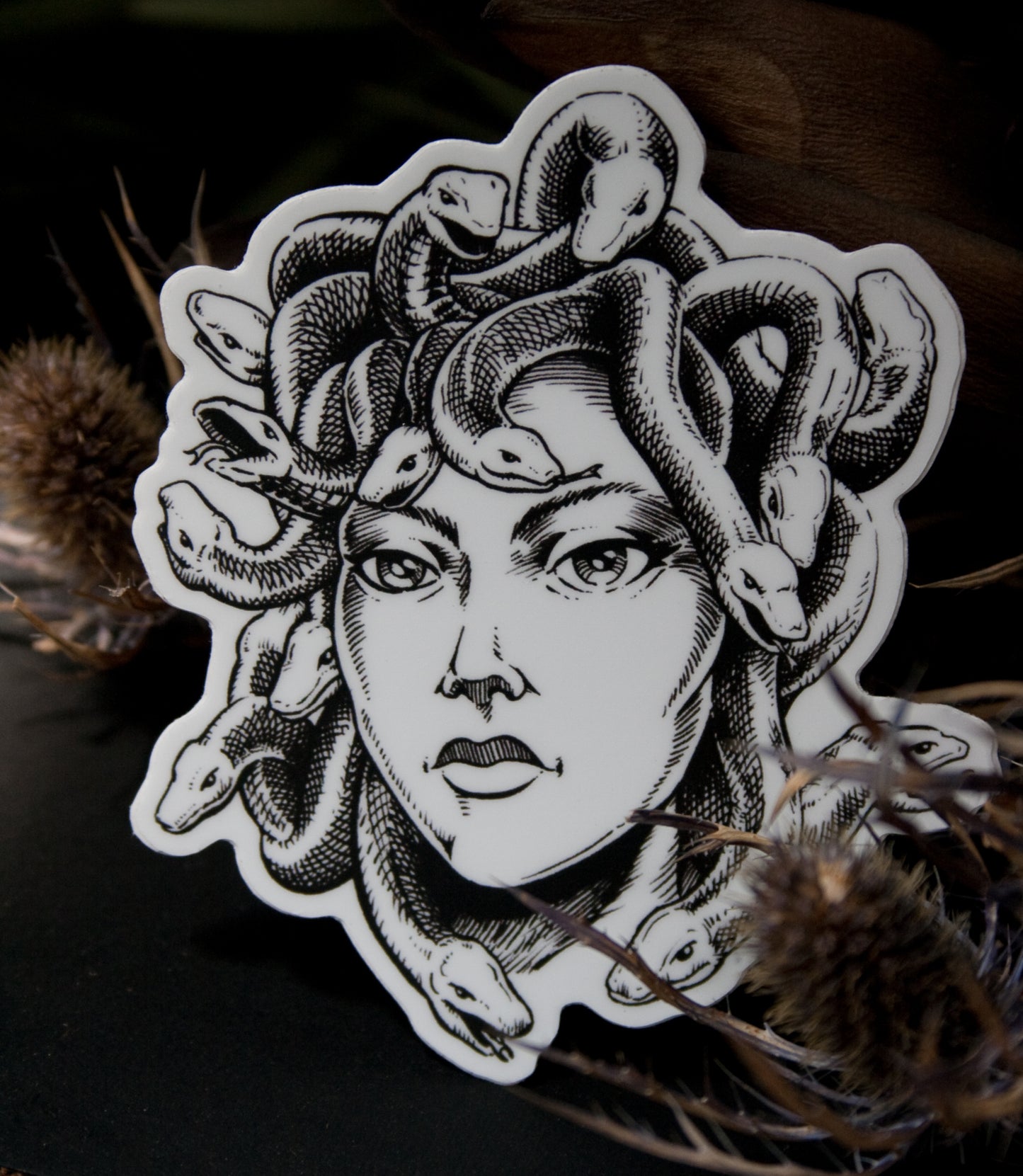 Medusa Vinyl Sticker