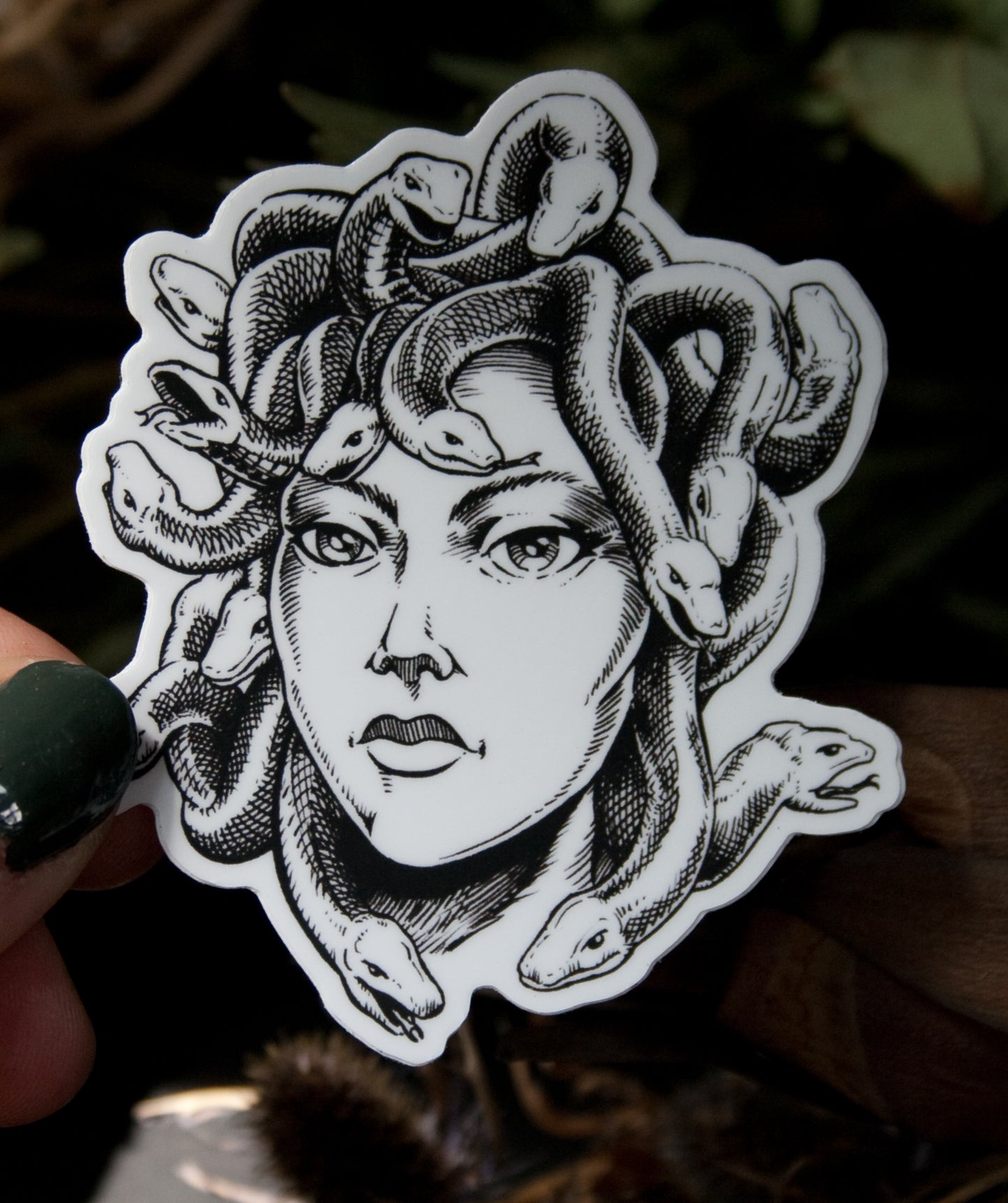 Medusa Vinyl Sticker